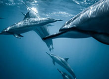 伟德体育-蓉城队前外教汉斯：中国足球需要耐心并注重细节